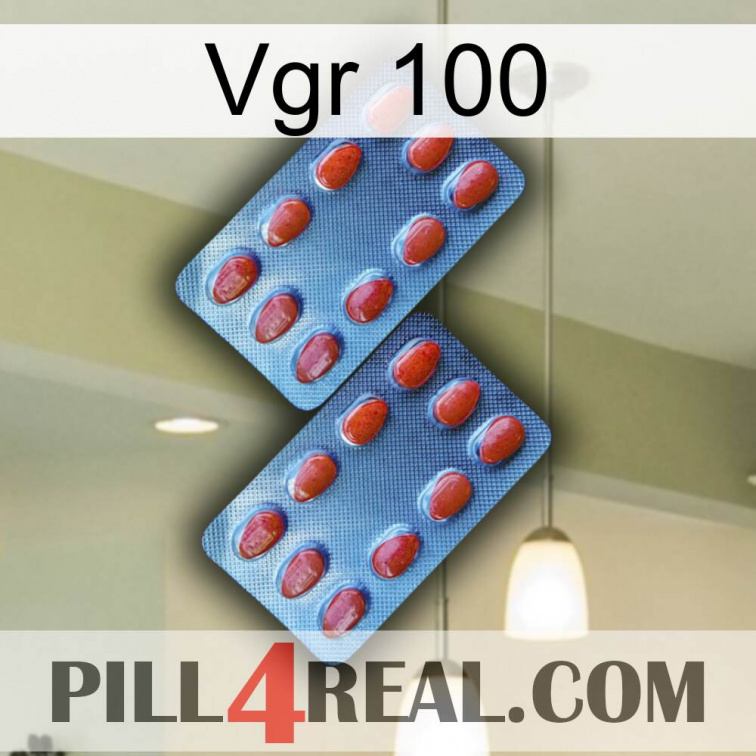 Vgr 100 05